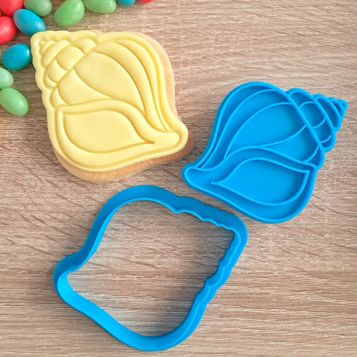 Conch Shell Cookie Cutter & Fondant Stamp – Little Monkey NZ