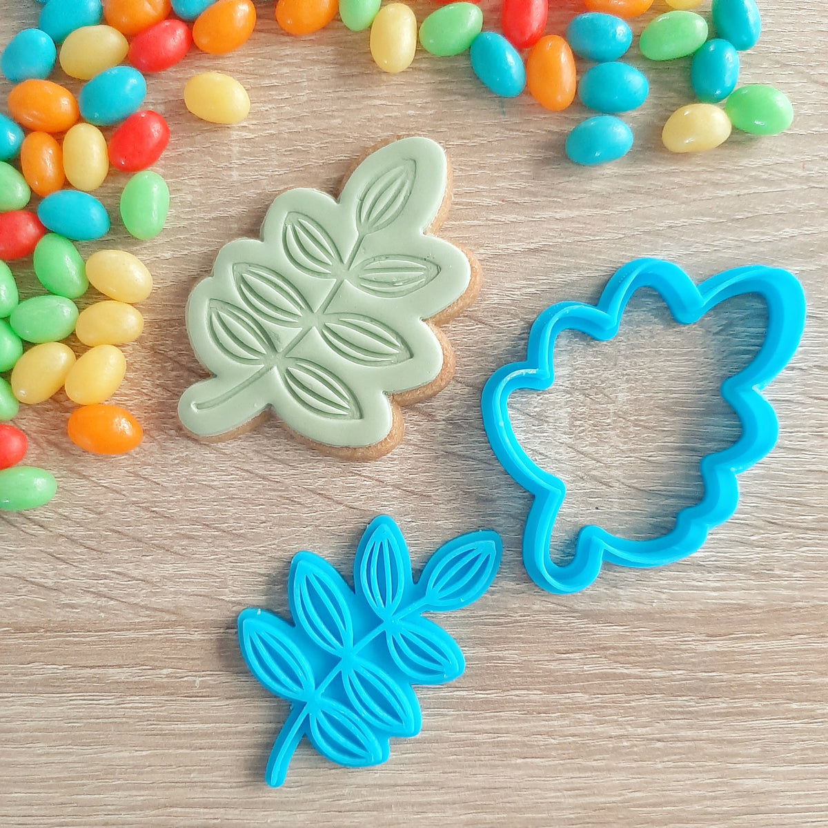 Leafy Frond (2) Cookie Cutter & Fondant Stamp – Little Monkey NZ