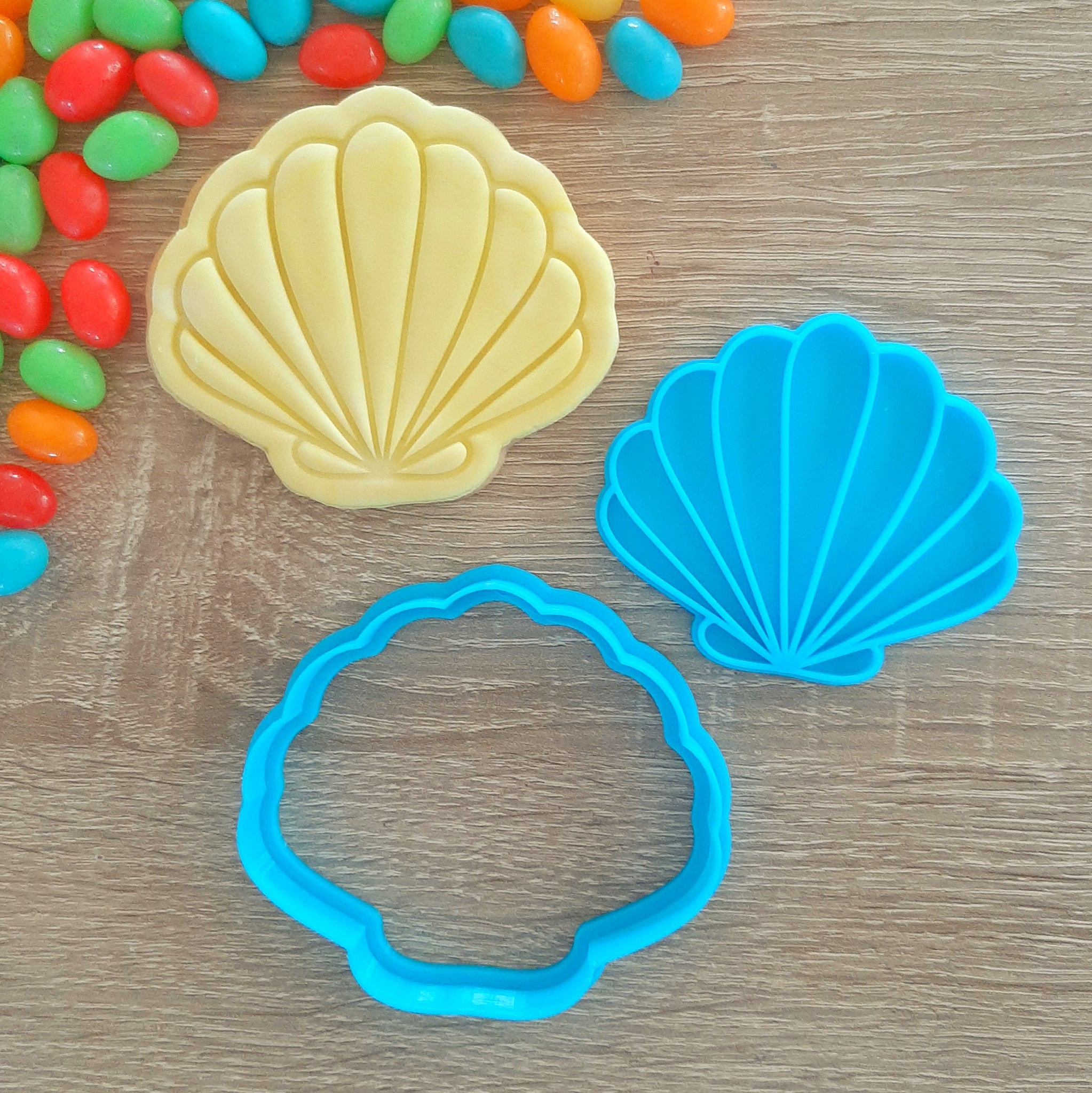 Shell Cookie Cutter & Fondant Stamp – Little Monkey NZ